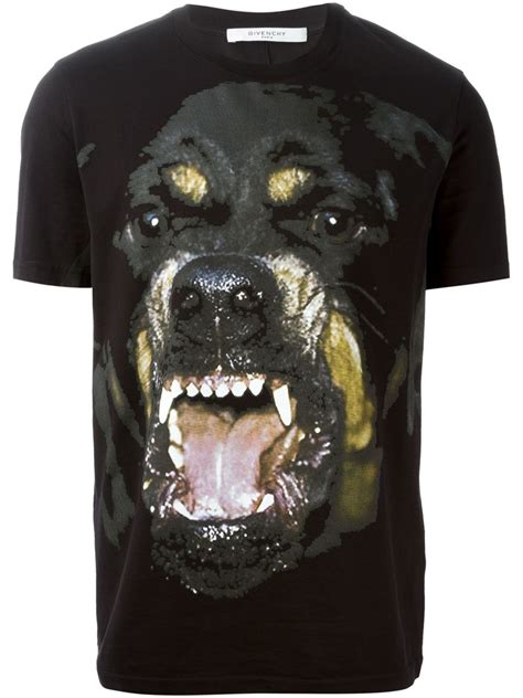 givenchy rottweiler herren t shirt|Givenchy rottweiler shirt price.